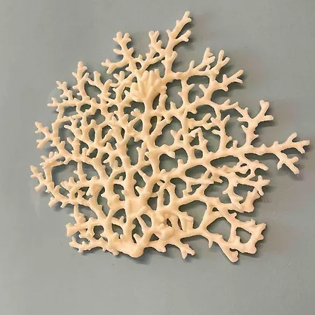 Amazing Flat Central Wi Fi A/c Rapallo